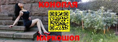 каннабис Гатчина