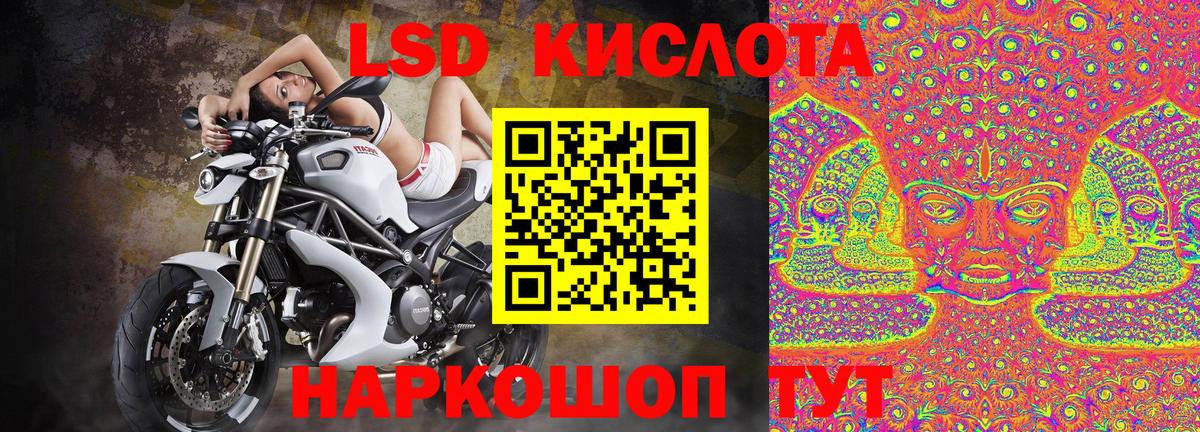 Лесной  Марки 25I-NBOMe 1,5мг  Марки 25I-NBOMe 1,5мг  Наркотические марки  цены   Вход с VPN 