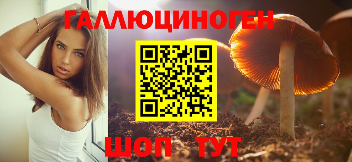 Псилоцибиновые грибы мухоморы  Вход с VPN  Лесной 